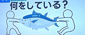 2026年1月29日の目覚め脳シャキクイズ