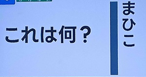 20260505ザタイム脳シャキクイズ