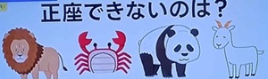 2026年5月25日ザタイム脳シャキクイズ