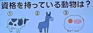 20260527ザタイム脳シャキクイズ