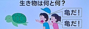 2026年6月15日放送の脳シャキクイズ