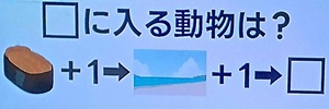 20260625ザタイム脳シャキクイズ