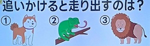 2026年8月26日ザタイム脳シャキクイズ